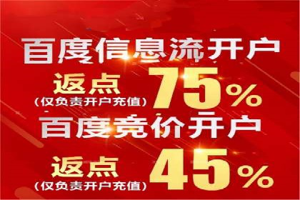 从小白到高手：百度竞价赚钱全记录